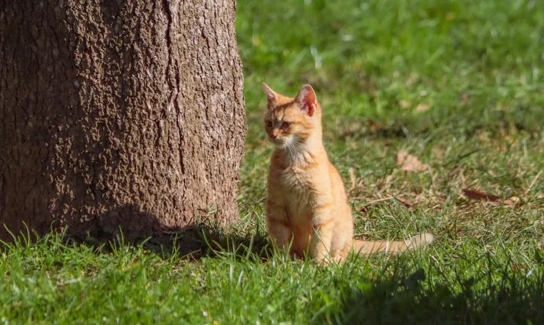 Баща ми, моят герой: Как на десет години спасих живота на татко