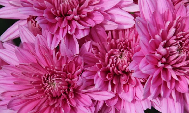 Без право на личен живот: Когато дъщеря ми порасна, а аз започнах да обичам отново