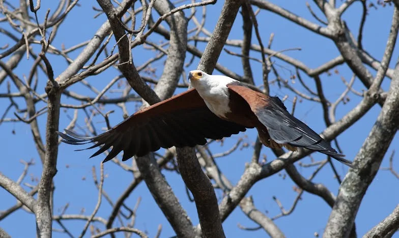 Изгубеният дом – Изповедта на една майка за предателството на сина ѝ