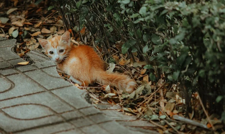 „Каква нагла фамилия! Събирай си багажа, тръгваме си. Никога повече няма да стъпя тук.“ – Една визита, която преобърна живота ми