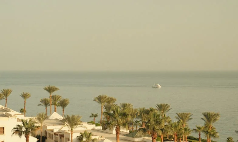 Къщата на баба Мария: Когато наследството разделя семейството