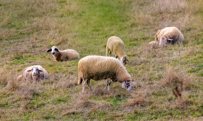 Къщата на кръстопът: Между миналото и бъдещето