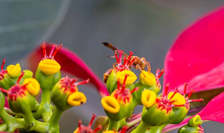 Когато болестта на дъщеря ми разкри истината: Изповедта на един баща от Пловдив