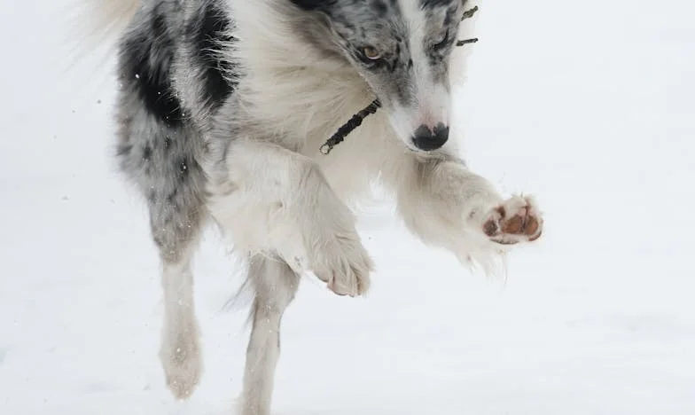Когато дядо се обърна срещу нас: Историята на едно разпадащо се семейство