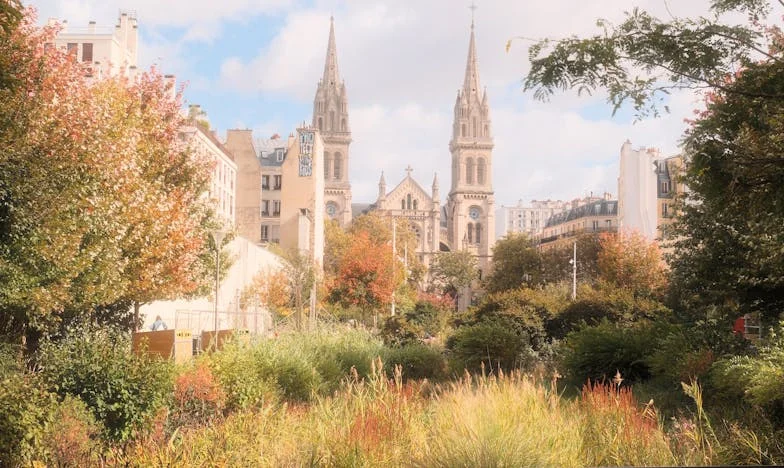 Когато един подарък разкъса семейството: История за снаха, свекърва и един нещастен празник