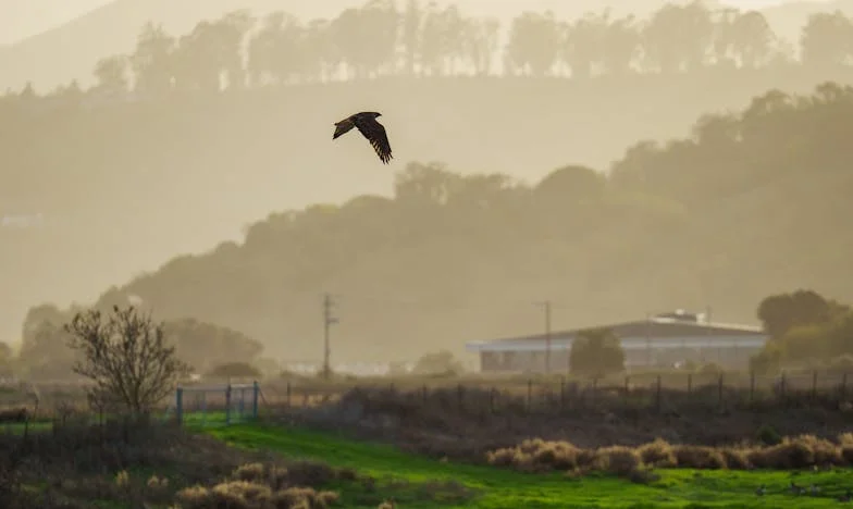 Когато изгоних мъжа си и свекърите от дома — и започнах да живея отново