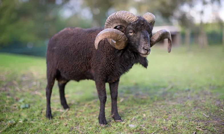 Когато любовта се крие зад вратата на чуждата стая: Историята на една майка, останала сама
