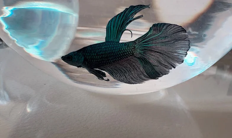 Когато майка ми избра хорското мнение пред мен