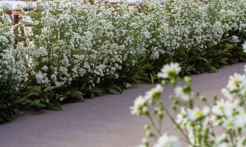 Когато миналото почука: Тайната на дъщеря ми и изпитанието на семейството