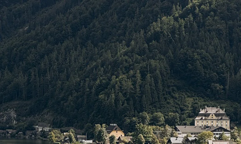 Когато свекървата се превърна в буря: Историята на Магдалена, която избра дъщеря си