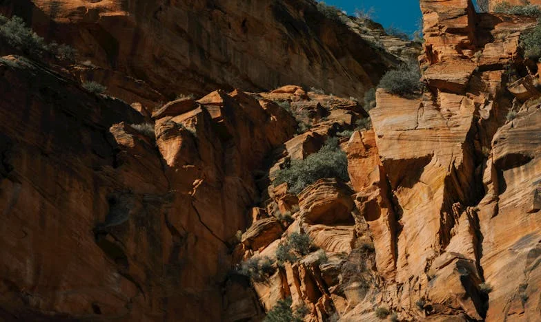 Майка между два свята: Когато домът на дъщеря ти не е твоят дом