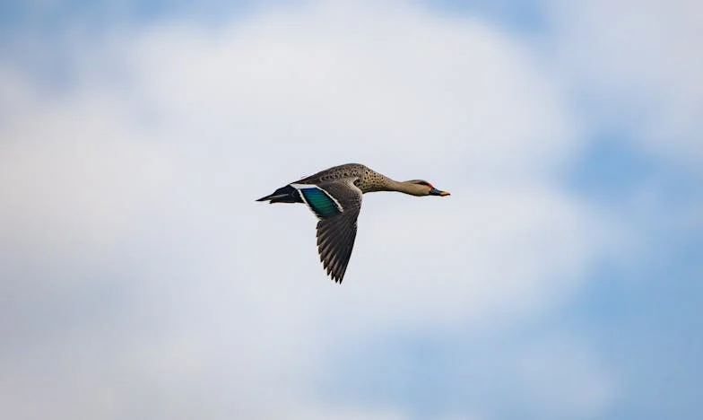 Майка ми се обади да каже, че идват роднини: Казах „Не“ и затворих. За първи път го направих.