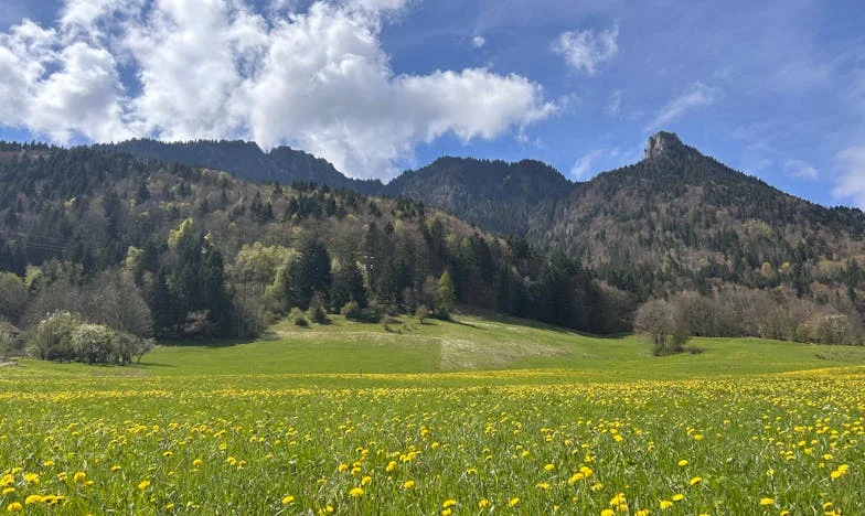 „Майко, ти разруши нашето семейство!” – Как загубих сина си заради една чаша