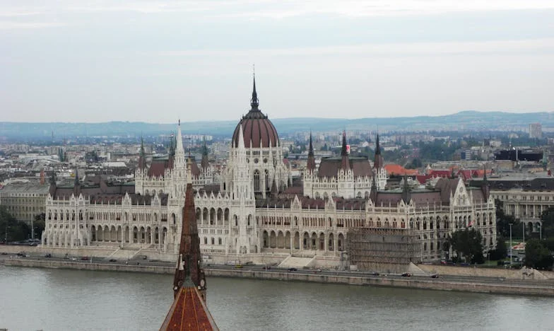 Мамо, защо не нахрани децата? Истината, която разкъса нашето семейство