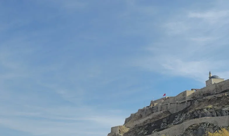 Между два огъня: История за несправедливост в българско семейство