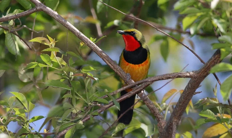 Не съм гледачка: Моята битка за собствен живот