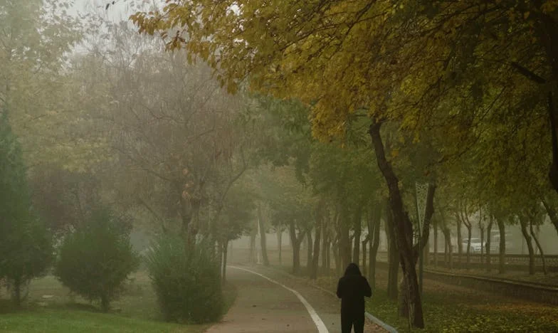 Новата ми снаха разруши семейството ни – Може ли всичко да се поправи?