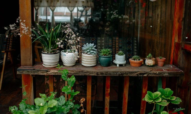 Оставих майка си в старчески дом. Ще си простя ли някога?