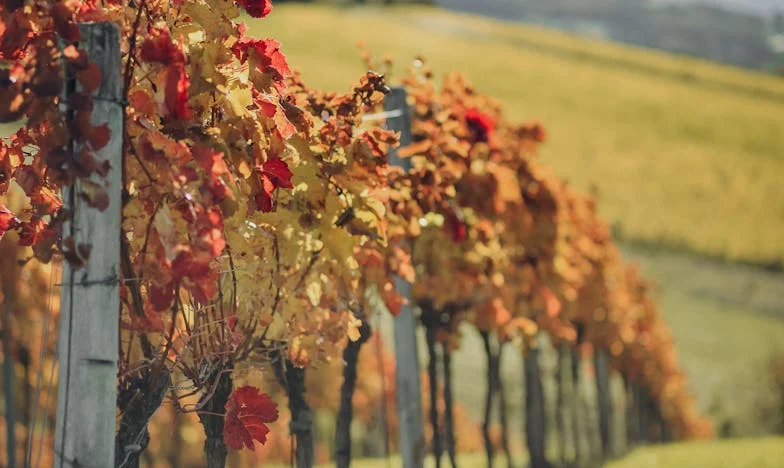 Подарихме апартамента на дъщеря ни: Дар от сърце или началото на края на нашето семейство?