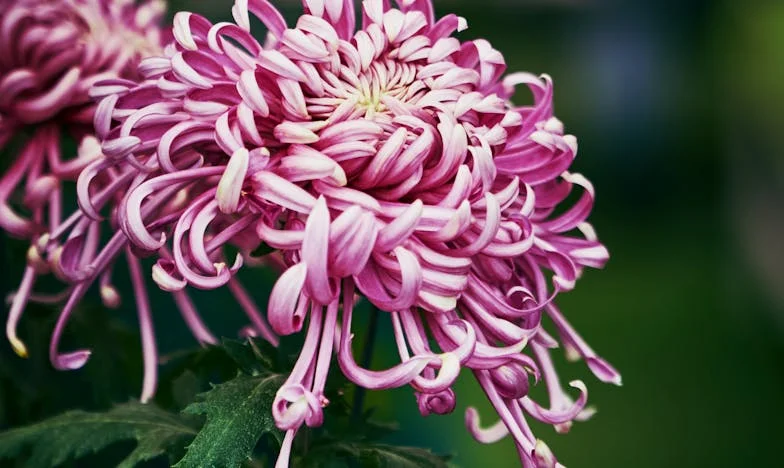 Правото да бъда уморен: Историята на един български работник