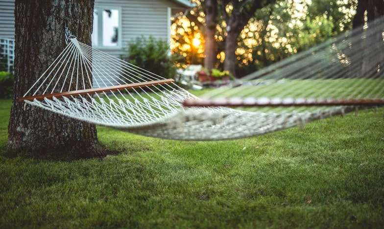 Сенки в хола: Моят живот с тъщата и търсенето на покой