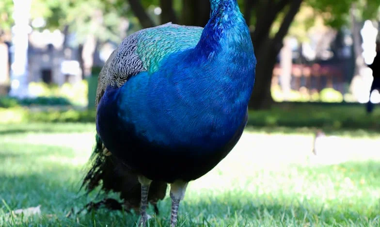 Сила в молитвата: Как оцелявах в брак, който ме пречупваше