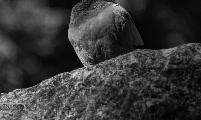 Три деца за една година – как оцелях, когато животът ми се срина