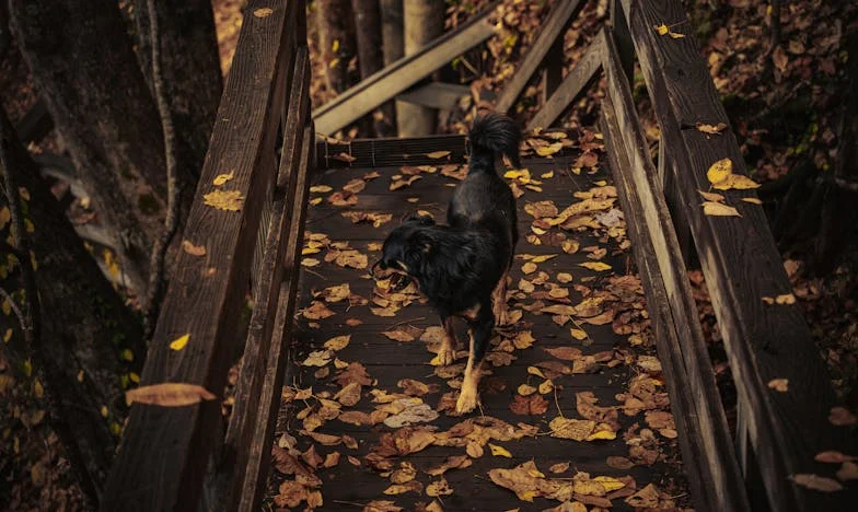 В четири сутринта на Орлов мост: Историята на една софийска чистачка