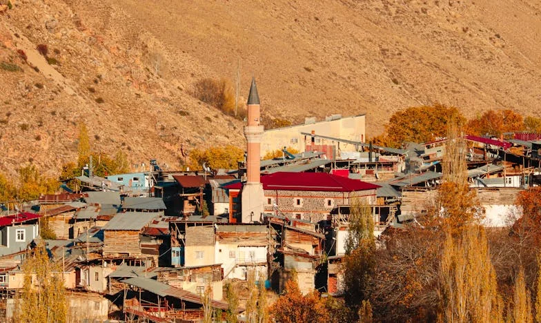 В къщата на съвършенството, сърцето ми в хаос – Историята на едно българско момиче