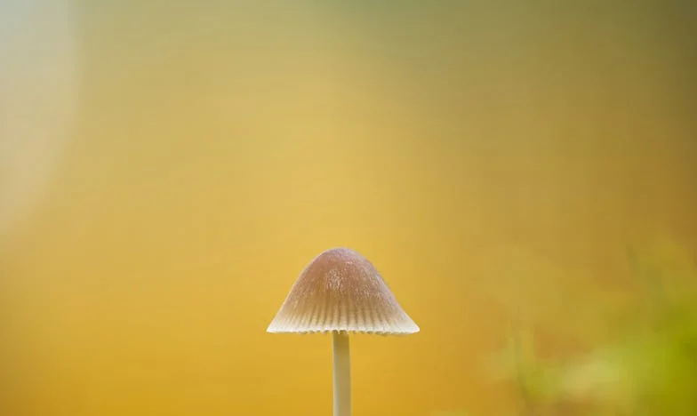 „Заради теб едва свързваме двата края“ — история за семейните упреци, които болят най-силно