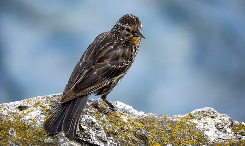 Брат ми даде всичко за децата си, но когато се разболя, остана сам