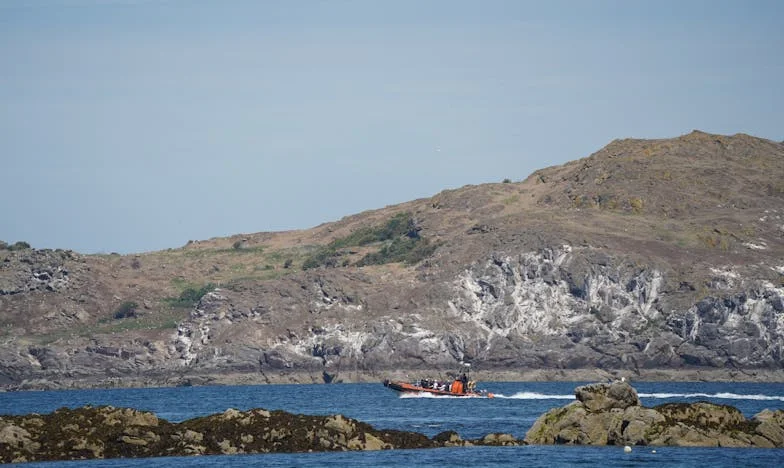 Четири години мълчание: Когато една жена поиска помощ от мъжа си