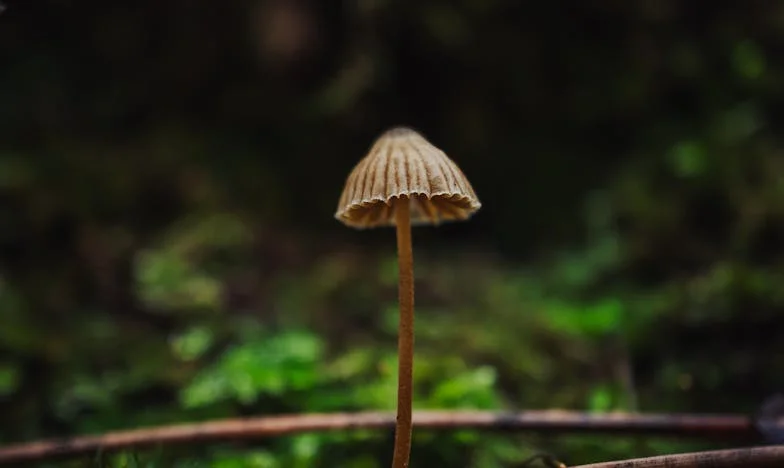 „Едно внуче стига!“: Как свекърва ми разруши нашето семейство