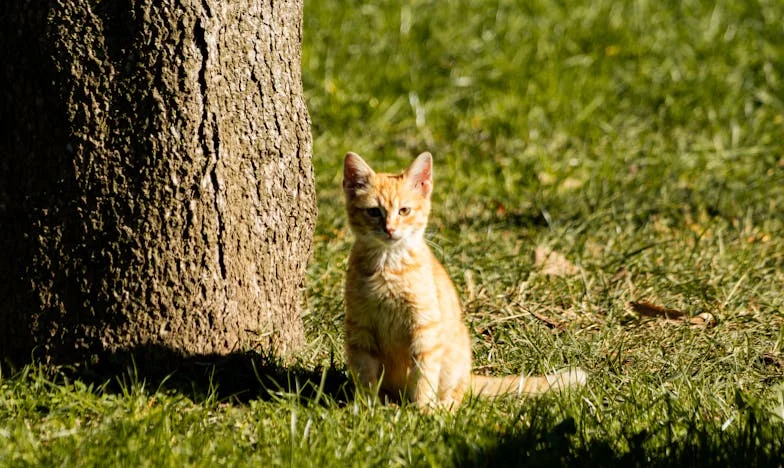 Кафето, което разби всичко: Историята на един уикенд, който промени живота ми