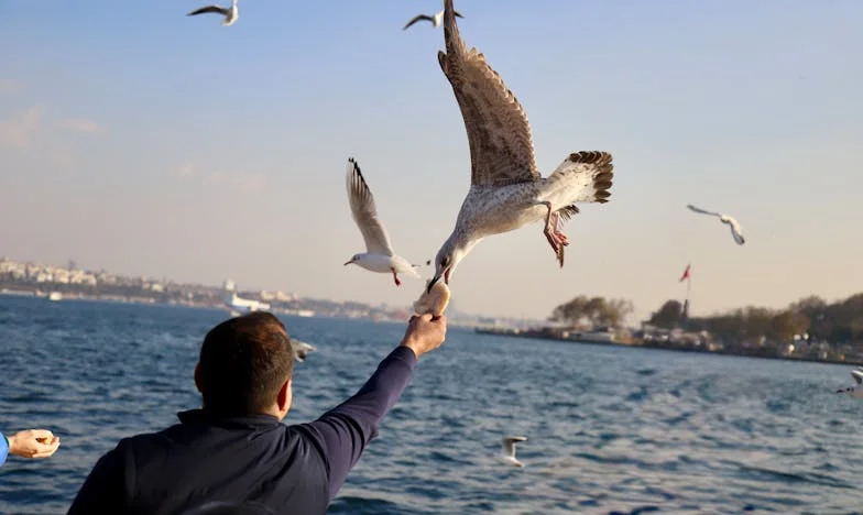Ключовете на доверието: Когато домът се превърне в бойно поле