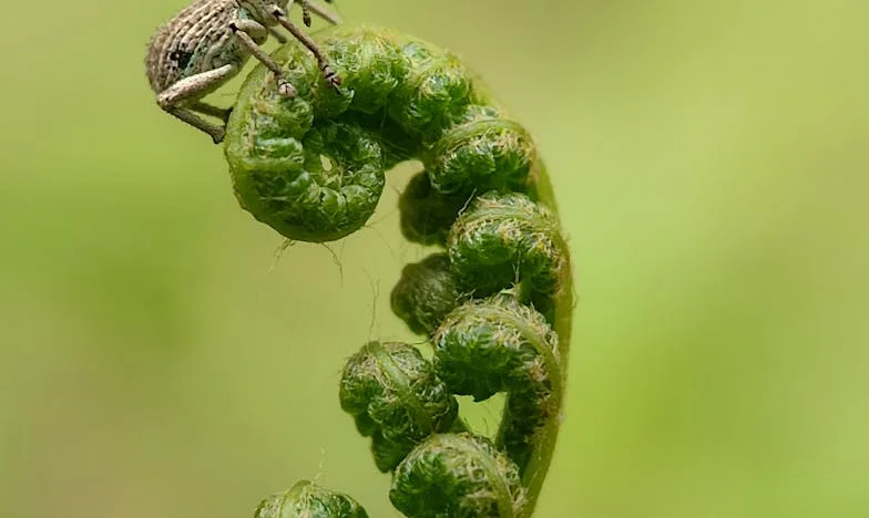 Когато истината боли повече от лъжата: Историята на една изчезнала любов