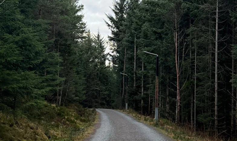 Когато съпругът ми забрави нашето семейство заради брат си