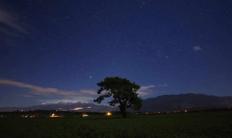 Когато се прибрах неочаквано: Моментът, в който всичко се промени