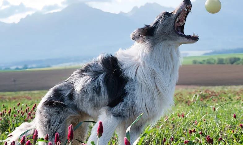 Майка ми умира, а аз не чувствам нищо – Български семейни тайни