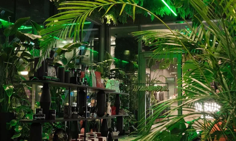 Молбата към съседа, която преобърна всичко: История за гордостта, доверието и истинската цена на помощта