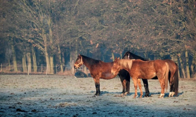 „Напусни работа, ако ме обичаш“ – Историята на една жена между любовта и себе си
