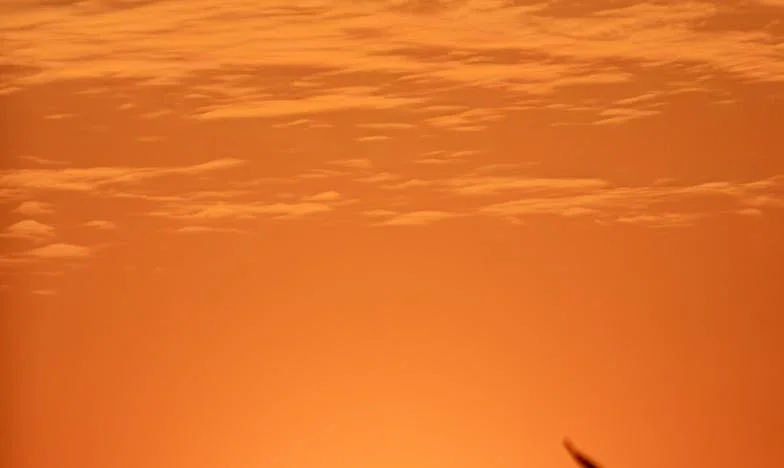 „Не си красива, Мария“ – Думите на майка ми, които промениха всичко