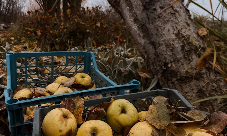 Опасното мълчание на наследството: Когато децата чакат завещанието, а ти още живееш