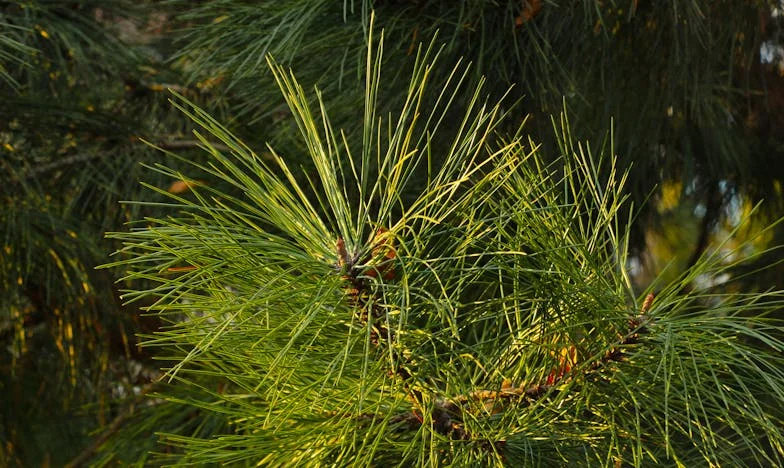 С куфар и две деца в нощта: Моят нов живот започна от нулата