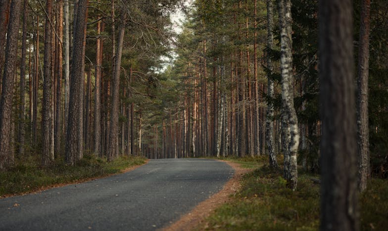 „Събуди се и ми направи кафе“: Как братът на мъжа ми разруши нашия дом