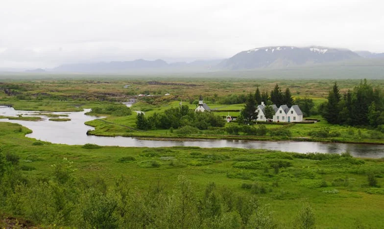 Сенки зад стените: Историята на едно българско семейство, разкъсано от недоверие
