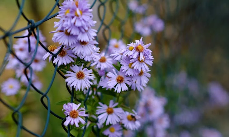 Среща след 36 години: Сянката на миналото в чакалнята