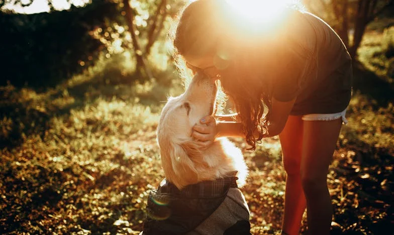 Тайна, която разруши всичко: Историята на едно българско семейство за прошката и принадлежността