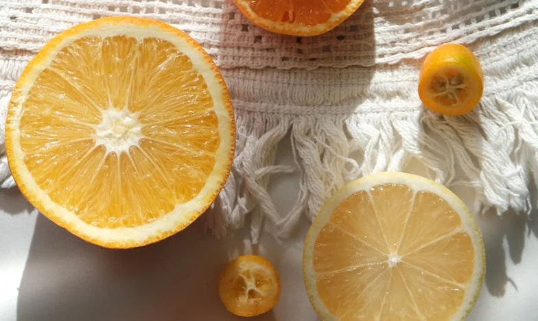 Всичко, което остана след бурята: История за семейство, предателство и смелост