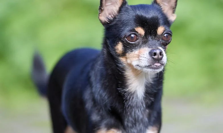 Дългът на майка ми – моята присъда: История за наследство, което не избрах